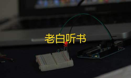 暗区突围2025兑换码老白听书